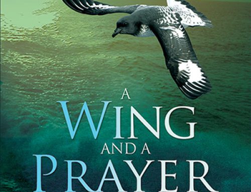A Wing and a Prayer (Eco-Adventure #1)